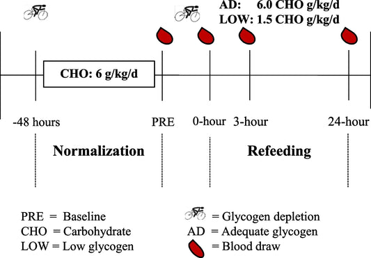 RED-S Carbohydrate Periodisation Guide