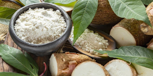Cassava and Plantain: The Most Overlooked Carbohydrate Fuel in Modern Performance