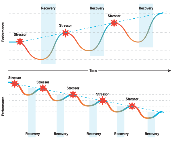 Does Stopping During Training Make You a Worse Athlete?